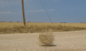 Screen Shot 2016-01-26 at 10.55.25 AM.png