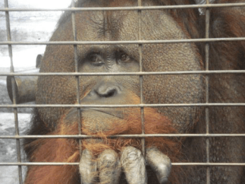 Screen Shot 2017-03-14 at 2.22.50 PM.png