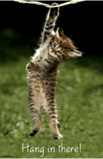 Screen Shot 2017-06-28 at 11.16.28 AM.png