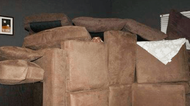 Screen Shot 2017-07-11 at 4.09.44 PM.png