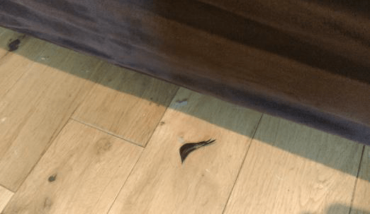 Screen Shot 2017-08-08 at 2.40.06 PM.png