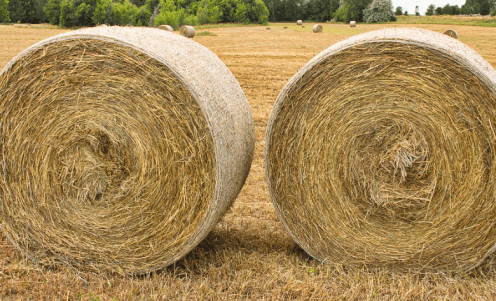 Screen Shot 2018-01-16 at 12.45.38 PM.png